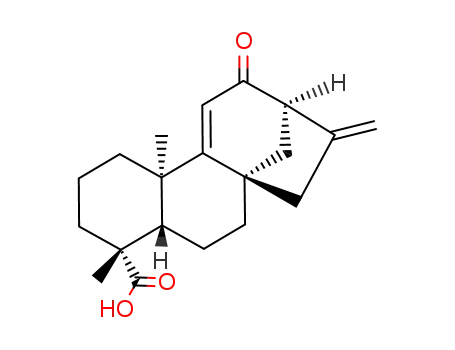 ent-12-oxokaura-9(11),16-dien-19-oic acid