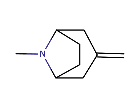 8- 메틸 -3- 메틸렌 -8- 아자-비 시클로 [3.2.1] 옥탄