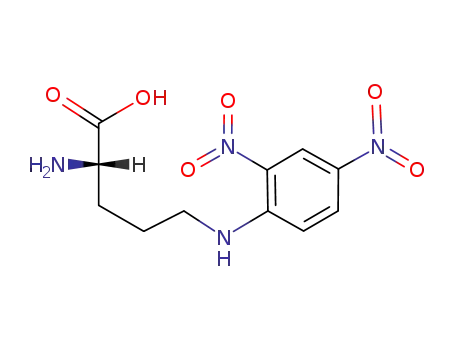 (2S) -2- 아미노 -5-[(2,4- 디 니트로 페닐) 아미노] 펜 탄산