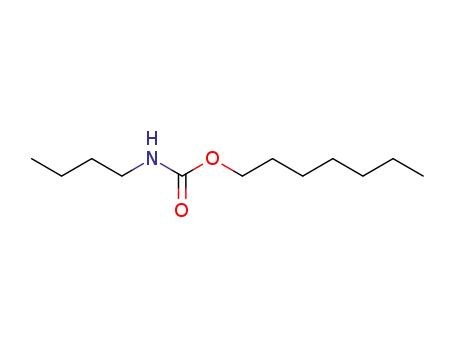 Molecular Structure of 1189-45-3 (heptyl butylcarbamate)