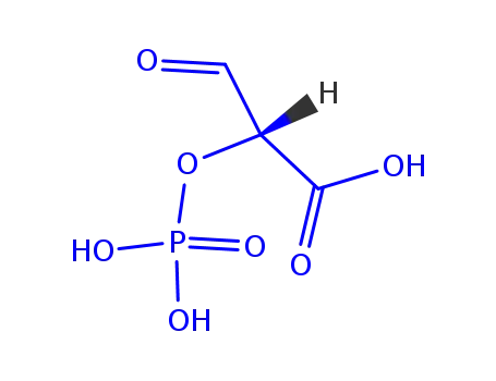 Molecular Structure of 118455-76-8 (tartronate semialdehyde phosphate)