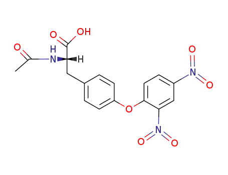 <i>N</i>-acetyl-<i>O</i>-(2,4-dinitro-phenyl)-L-tyrosine