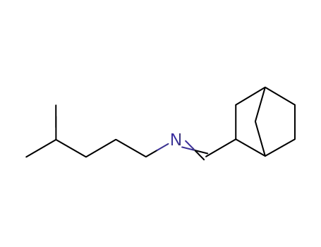 N-(2,5-Methylen-hexahydrobenzal)-isohexylamin