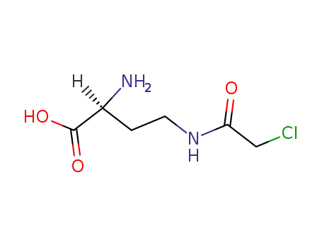 Molecular Structure of 135630-98-7 ((<i>S</i>)-2-amino-4-(2-chloro-acetylamino)-butyric acid)