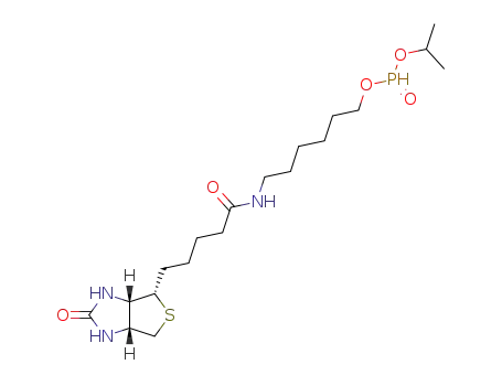 6-N-바이오티닐아미노헥실 이소프로필 하이드로겐포스포네이트