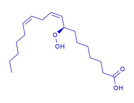 (8R,9Z,12Z)-8-HYDROPEROXYOCTADECA-9,12-DIENOIC ACIDCAS