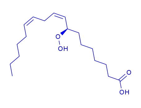 Molecular Structure of 143343-95-7 ((8R,9Z,12Z)-8-hydroperoxyoctadeca-9,12-dienoic acid)