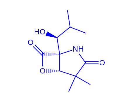 α-Methyl Omuralide