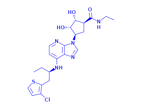 (1S,2R,3S,4R)-4-[7-[[(1R)-1-[(3-Chloro-2-thienyl)methyl]propyl]amino]-3H-imidazo[4,5-b]pyridin-3-yl]-N-ethyl-2,3-dihydroxycyclopentanecarboxamide