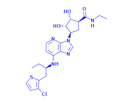 Molecular Structure of 143395-98-6 ((1S,2R,3S,4R)-4-[7-[1(R)-(3-Chloro-2-thienylmethyl)propylamino]-3H-imidazo[4,5-b]pyridin-3-yl]-N-ethyl-2,3-dihydroxycyclopentane-1-carboxamide)
