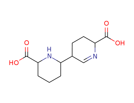 Molecular Structure of 142759-11-3 (2-Pyridinecarboxylicacid, 5-(6-carboxy-2-piperidinyl)-1,2,3,4-tetrahydro- (9CI))