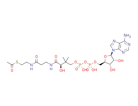 Molecular Structure of 31664-34-3 (acetyl-dephospho-CoA)