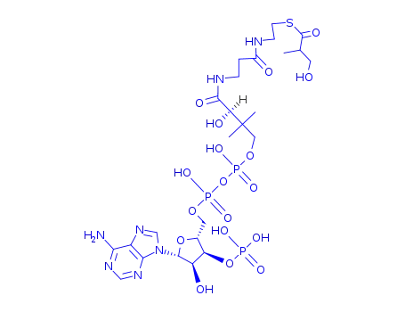 Molecular Structure of 6008-94-2 (3-hydroxy-isobutanoyl-CoA)