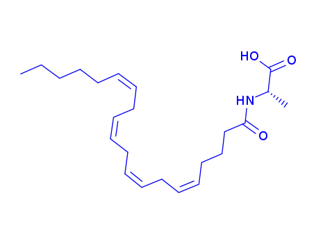 Molecular Structure of 401941-73-9 (N-(1-OXO-5Z,8Z,11Z,14Z-EICOSATETRAENYL)-L-ALANINE)