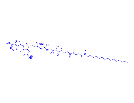 Molecular Structure of 75878-93-2 (palmit-2,3-enoyl-CoA)