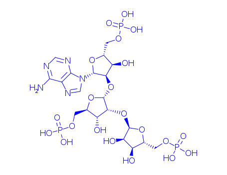 디포스포리보실-아데노신 모노포스페이트