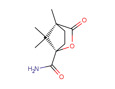 Molecular Structure of 54200-37-2 ((1S)-(-)-Camphanic acid amide)