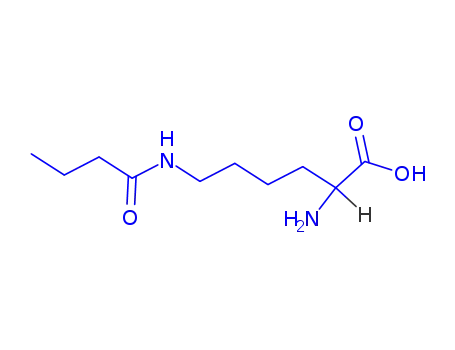 Molecular Structure of 75396-30-4 (Lysine(butyryl)-OH)