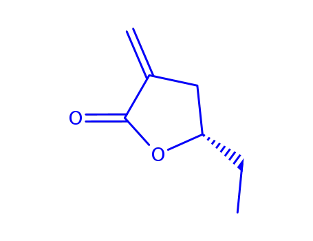 Molecular Structure of 82112-60-5 (5-ETHYL-3-METHYLENE-DIHYDRO-FURAN-2-ONE)