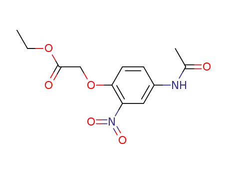 Molecular Structure of 100135-98-6 ((4-acetylamino-2-nitro-phenoxy)-acetic acid ethyl ester)