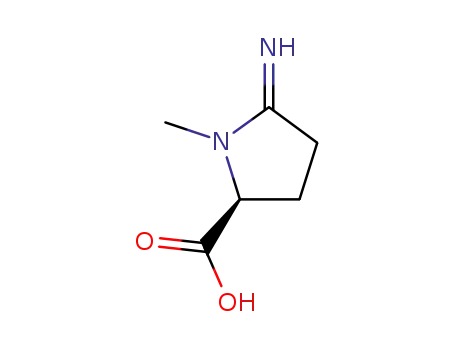 (-)-(5S)-2-imino-1-methylpyrrolidine-5-carboxylic acid