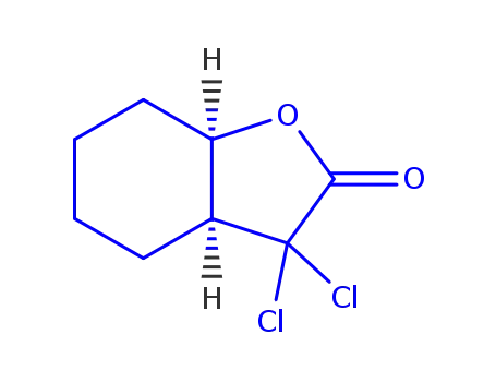 Molecular Structure of 72406-97-4 (3,3-dichlorohexahydro-3H-benzofuran-2-one)