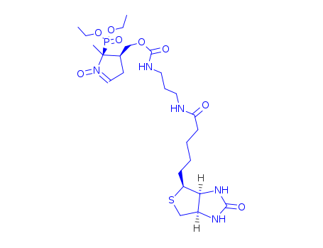 DEPMPO-biotin