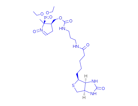 Molecular Structure of 936224-52-1 (DEPMPO-biotin)