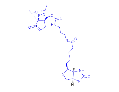 DEPMPO-비오틴