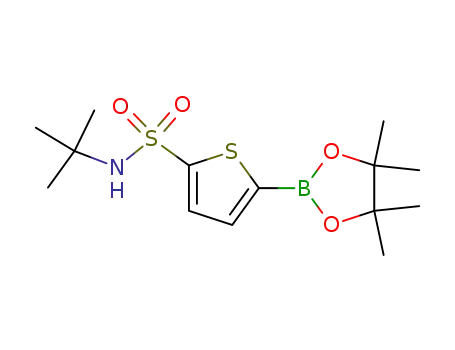 N-(tert-butyl)-5-(4,4,5,5-tetramethyl-1,3,2-dioxaborolan-2-yl)thiophene-2-sulfonamide