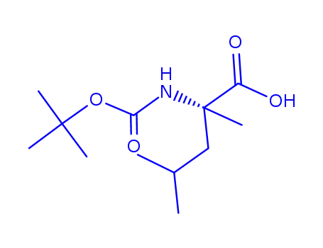 BOC-ALPHA-METHYL-DL-류신
