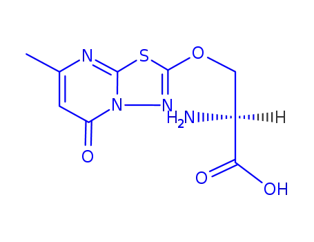 Molecular Structure of 98755-30-7 (O-(7-methyl-5-oxo-5H-[1,3,4]thiadiazolo[3,2-a]pyrimidin-2-yl)-L-serine)