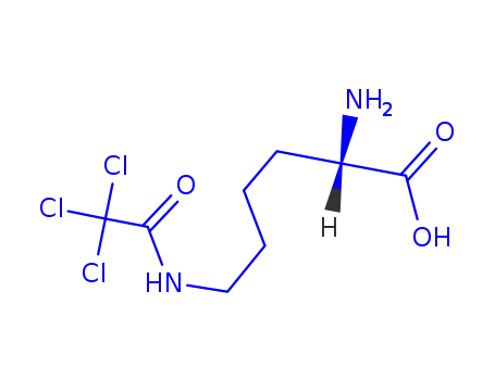 Molecular Structure of 92819-33-5 (N(epsilon)-(trichloroacetyl)lysine)
