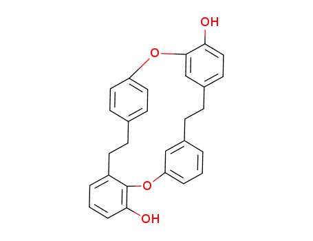 Molecular Structure of 88418-47-7 (15,18-Etheno-2,6:9,13-dimetheno-1,14-benzodioxacyclodocosin-12,24-diol,7,8,19,20-tetrahydro-)