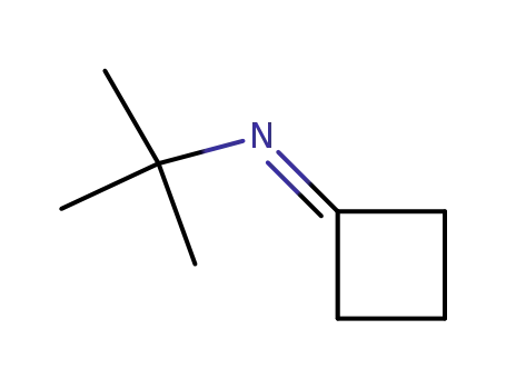 Molecular Structure of 854172-02-4 (N-(cyclobutylidene)-2-methyl-2-propanamine)