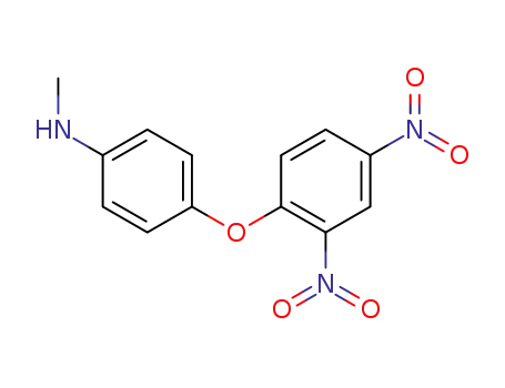 Molecular Structure of 857596-57-7 (4-(2,4-dinitro-phenoxy)-<i>N</i>-methyl-aniline)