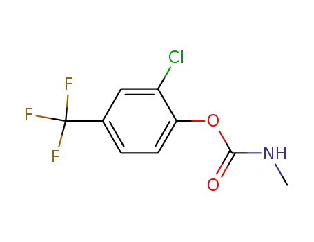 Methyl-carbamic acid 2-chloro-4-trifluoromethyl-phenyl ester