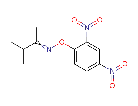 Molecular Structure of 13181-76-5 (2-Butanone, 3-methyl-, O-(2,4-dinitrophenyl)oxime)