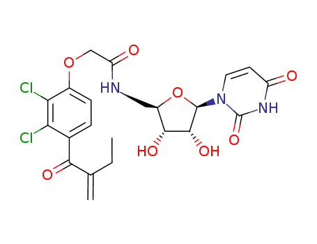 C<sub>22</sub>H<sub>23</sub>Cl<sub>2</sub>N<sub>3</sub>O<sub>8</sub>