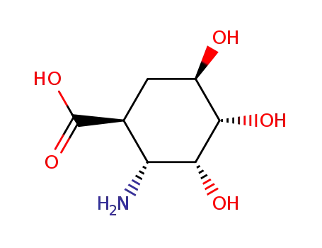 Molecular Structure of 122147-12-0 ((1<i>S</i>)-2<i>t</i>-amino-3<i>t</i>.4<i>t</i>.5<i>c</i>-trihydroxy-cyclohexane-<i>r</i>-carboxylic acid)