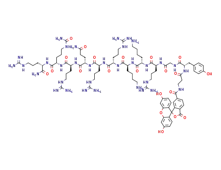 Molecular Structure of 1431933-69-5 (Flu-βAla-Tyr-Gly-Arg-Lys-Lys-Arg-Arg-Gln-Arg-Cit-Arg-NH2)