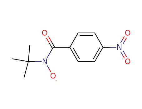 Molecular Structure of 53544-99-3 (p-Nitrobenzoyl-tert-butylnitroxid)