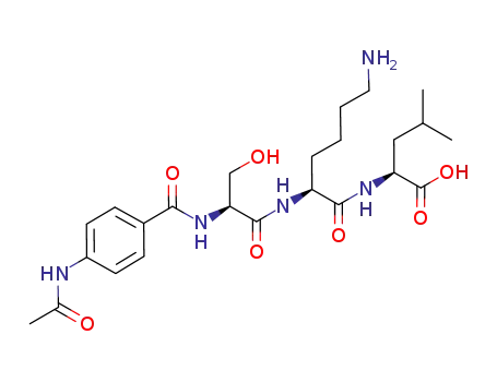 Molecular Structure of 927692-09-9 (L-Leucine, N-[4-(acetylamino)benzoyl]-L-seryl-L-lysyl-)