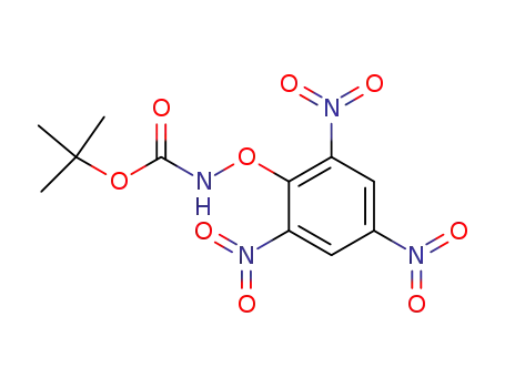 Molecular Structure of 38100-29-7 (t-Butyl-N-(2,4,6-trinitrophenoxy)-carbamat)
