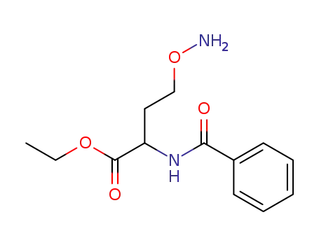 4-Aminooxy-2-benzamino-buttersaeure-ethylester