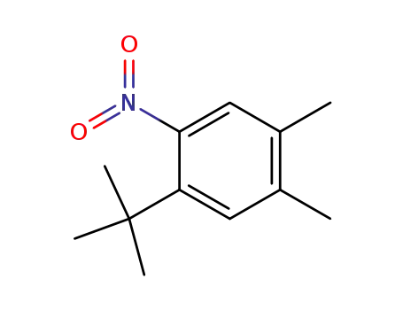 Molecular Structure of 66949-20-0 (3-Nitro-5-tert-butyl-o-xylol)