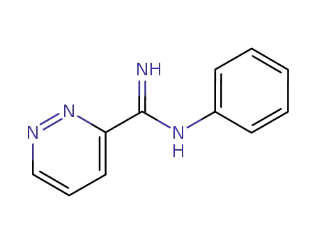<i>N</i>-phenyl-pyridazine-3-carboximidic acid amide