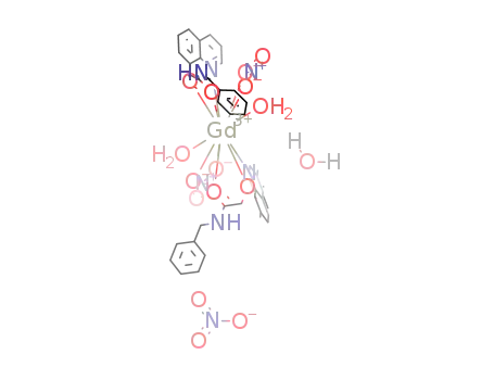 Molecular Structure of 915979-67-8 (Gd(N-(benzyl)-2-(quinolin-8-yloxy)acetamide)2(NO<sub>3</sub>)3*3H<sub>2</sub>O)