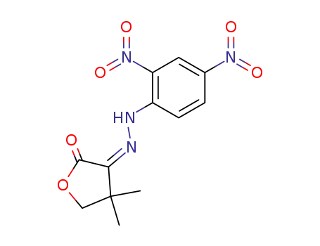 Molecular Structure of 106167-37-7 (2-((<i>Z</i>)-2,4-dinitro-phenylhydrazono)-4-hydroxy-3,3-dimethyl-butyric acid-lactone)