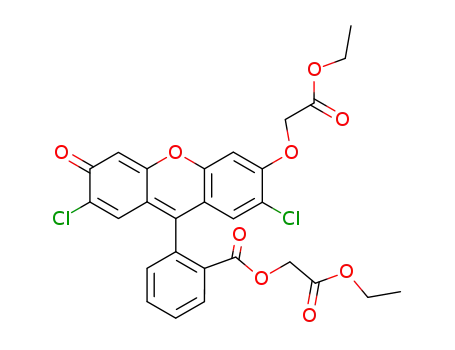 2',7'-dichlorofluorescein ethoxycarbonylmethyl ester ethoxycarbonylmethyl ether